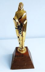 1975 – Złoty Hugo na XI MFF w Chicago za Ziemię obiecaną